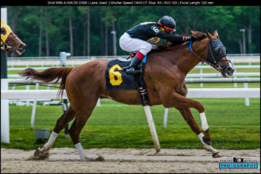 Horse race 1546 X3 Photography