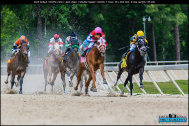 Horse race 1829 X3 Photography