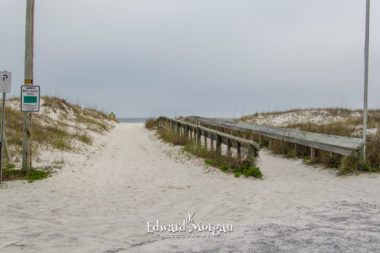 Orange Beach Family Beach Portrait 121 2 Photography